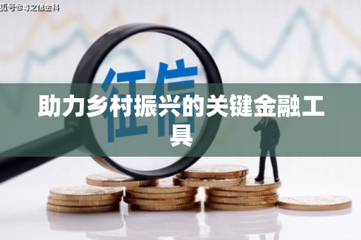 黄梅助力乡村振兴的关键金融工具