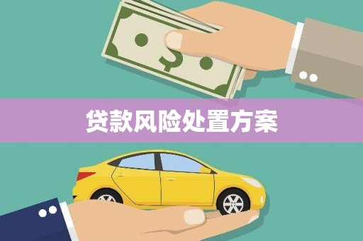 黄梅贷款风险处置方案