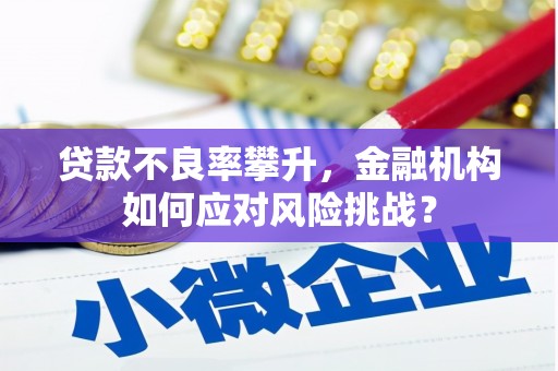 黄梅贷款不良率攀升，金融机构如何应对风险挑战？