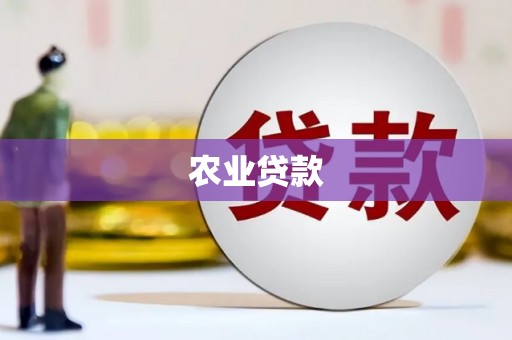 黄梅农业贷款