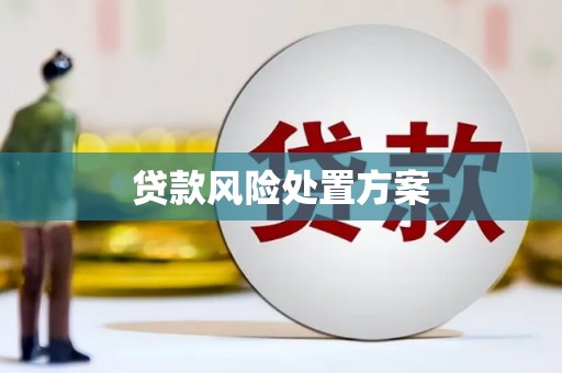 黄梅贷款风险处置方案