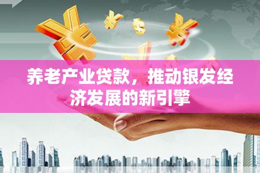 黄梅养老产业贷款，推动银发经济发展的新引擎