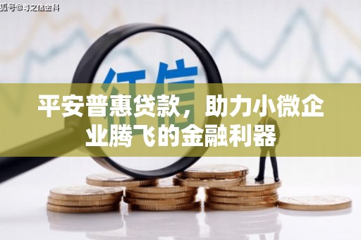 黄梅平安普惠贷款，助力小微企业腾飞的金融利器