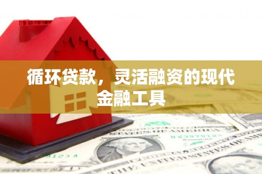 黄梅循环贷款，灵活融资的现代金融工具