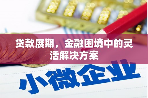 黄梅贷款展期，金融困境中的灵活解决方案