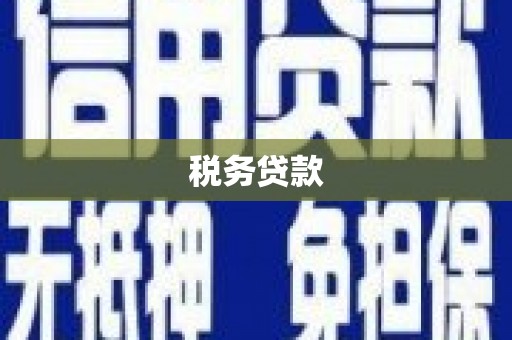 黄梅税务贷款
