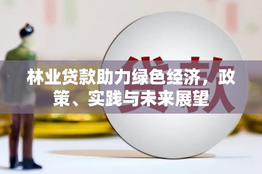 黄梅林业贷款助力绿色经济，政策、实践与未来展望