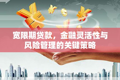 黄梅宽限期贷款，金融灵活性与风险管理的关键策略