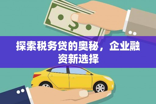 黄梅探索税务贷的奥秘，企业融资新选择