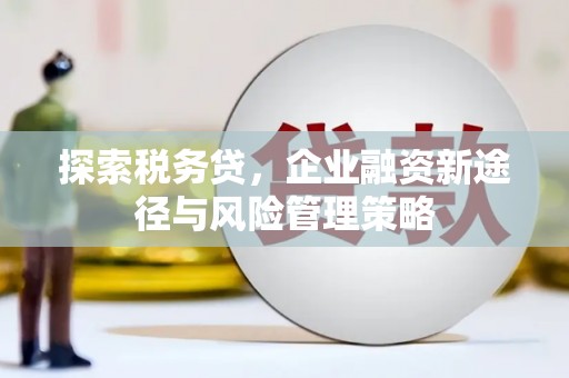 黄梅探索税务贷，企业融资新途径与风险管理策略
