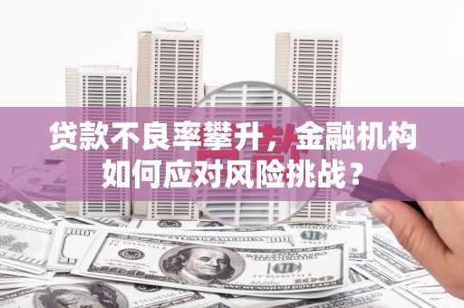 黄梅贷款不良率攀升，金融机构如何应对风险挑战？