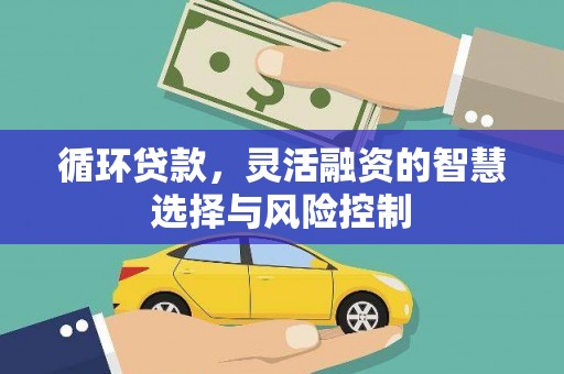 黄梅循环贷款，灵活融资的智慧选择与风险控制