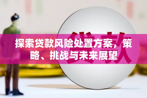 黄梅探索贷款风险处置方案，策略、挑战与未来展望