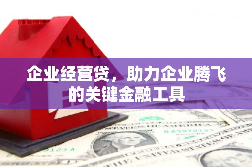 黄梅企业经营贷，助力企业腾飞的关键金融工具