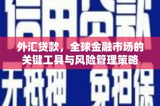 黄梅外汇贷款，全球金融市场的关键工具与风险管理策略