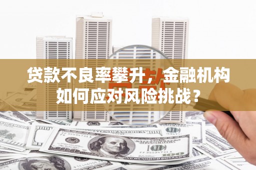 黄梅贷款不良率攀升，金融机构如何应对风险挑战？