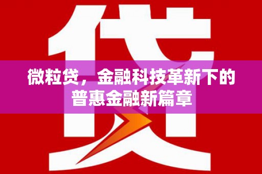 黄梅微粒贷，金融科技革新下的普惠金融新篇章