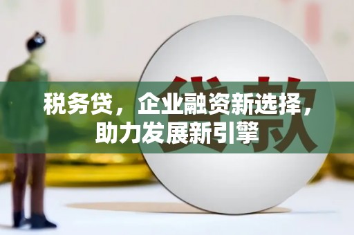 黄梅税务贷，企业融资新选择，助力发展新引擎