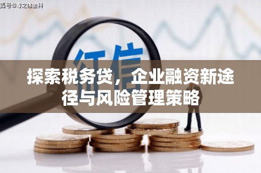 黄梅探索税务贷，企业融资新途径与风险管理策略