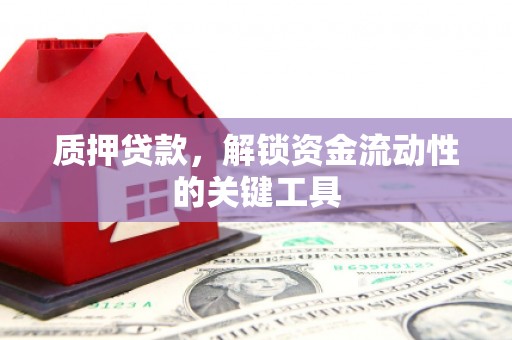 黄梅质押贷款，解锁资金流动性的关键工具