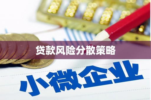黄梅贷款风险分散策略