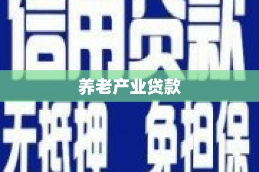 黄梅养老产业贷款