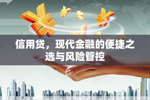 黄梅信用贷，现代金融的便捷之选与风险管控
