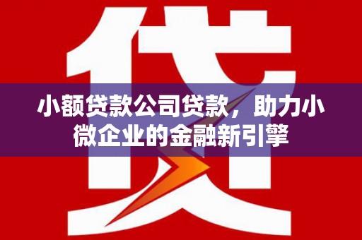 黄梅小额贷款公司贷款，助力小微企业的金融新引擎