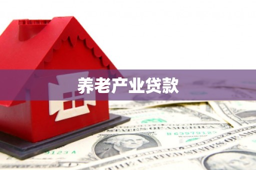黄梅养老产业贷款