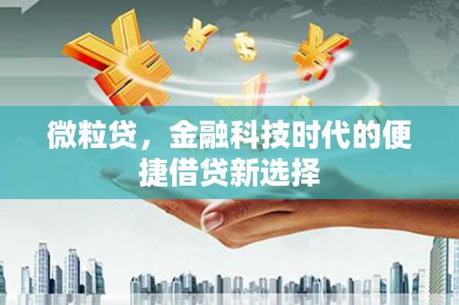 黄梅微粒贷，金融科技时代的便捷借贷新选择