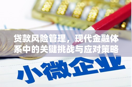 黄梅贷款风险管理，现代金融体系中的关键挑战与应对策略