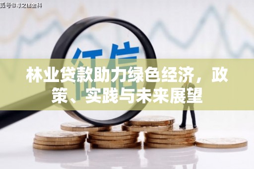 黄梅林业贷款助力绿色经济，政策、实践与未来展望