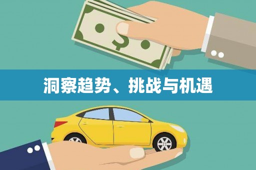 黄梅洞察趋势、挑战与机遇