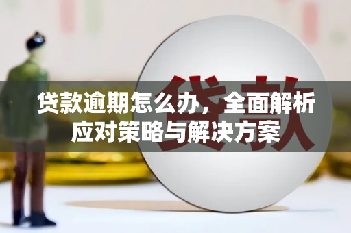 黄梅贷款逾期怎么办，全面解析应对策略与解决方案