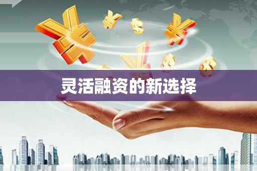 黄梅灵活融资的新选择