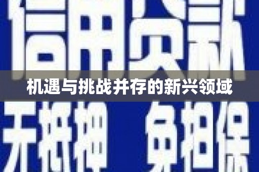 黄梅机遇与挑战并存的新兴领域
