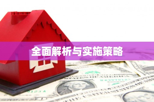 黄梅全面解析与实施策略