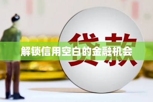 黄梅解锁信用空白的金融机会