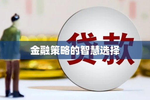 黄梅金融策略的智慧选择