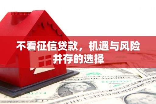黄梅不看征信贷款，机遇与风险并存的选择