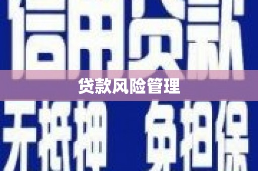 黄梅贷款风险管理