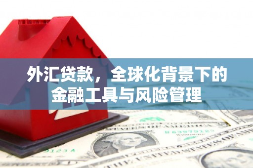 黄梅外汇贷款，全球化背景下的金融工具与风险管理