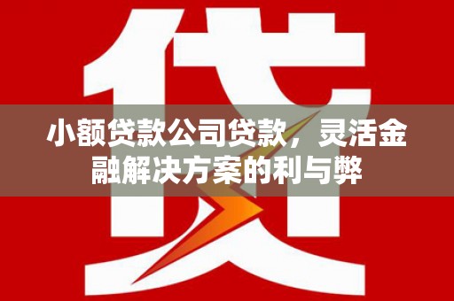 黄梅小额贷款公司贷款，灵活金融解决方案的利与弊